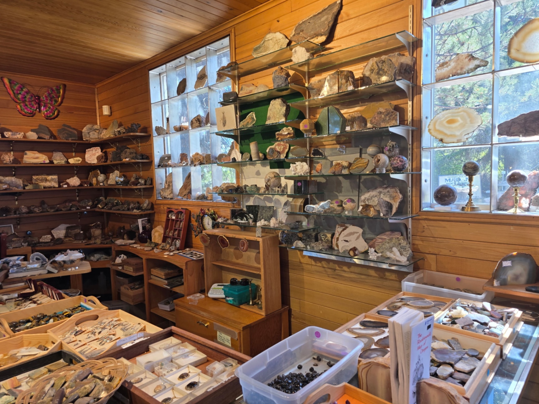 Shelves of agates, thundereggs and Oregon specimens inside the shop
