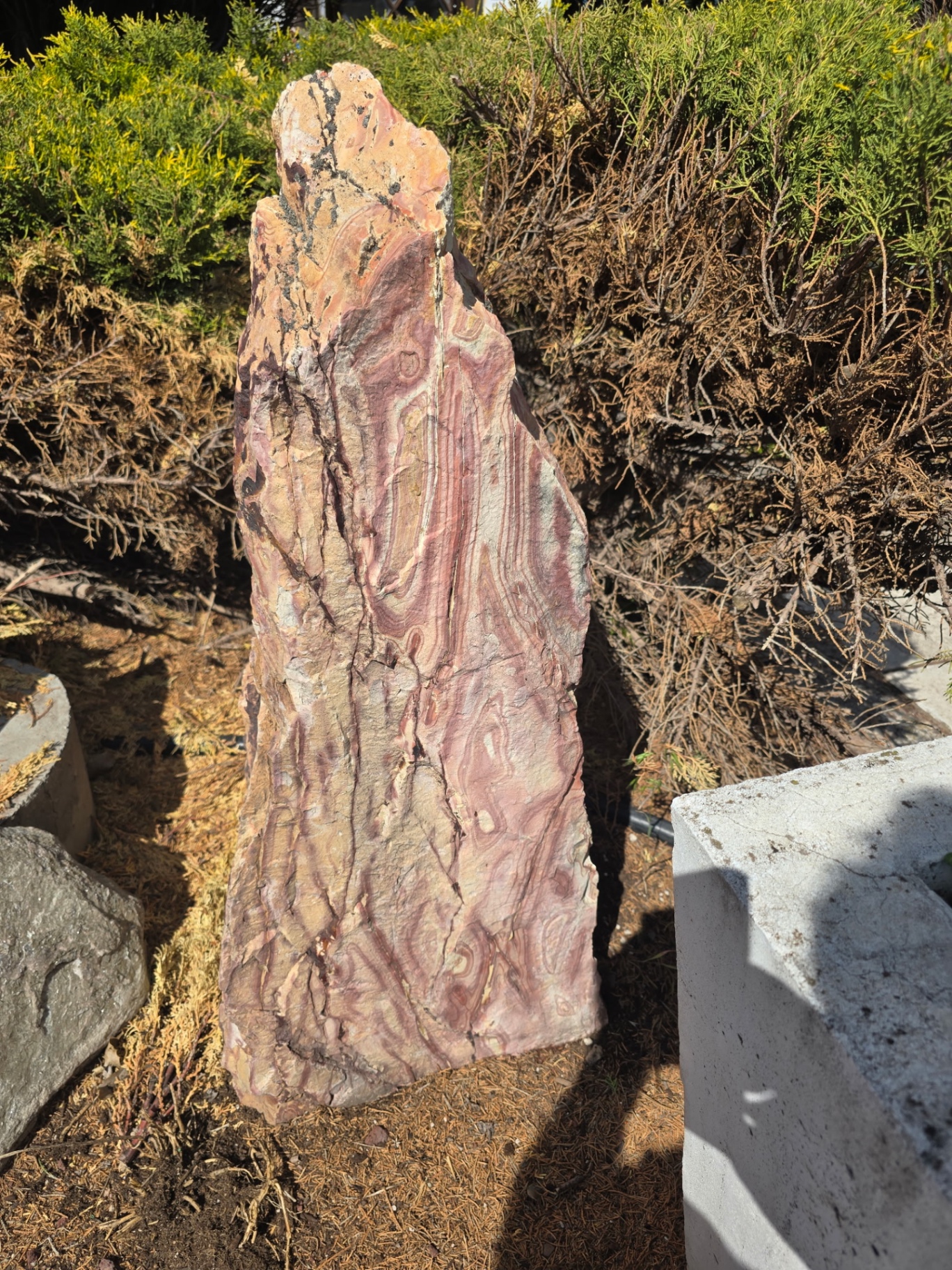 Tall pink and rose banded standing stone in the yard
