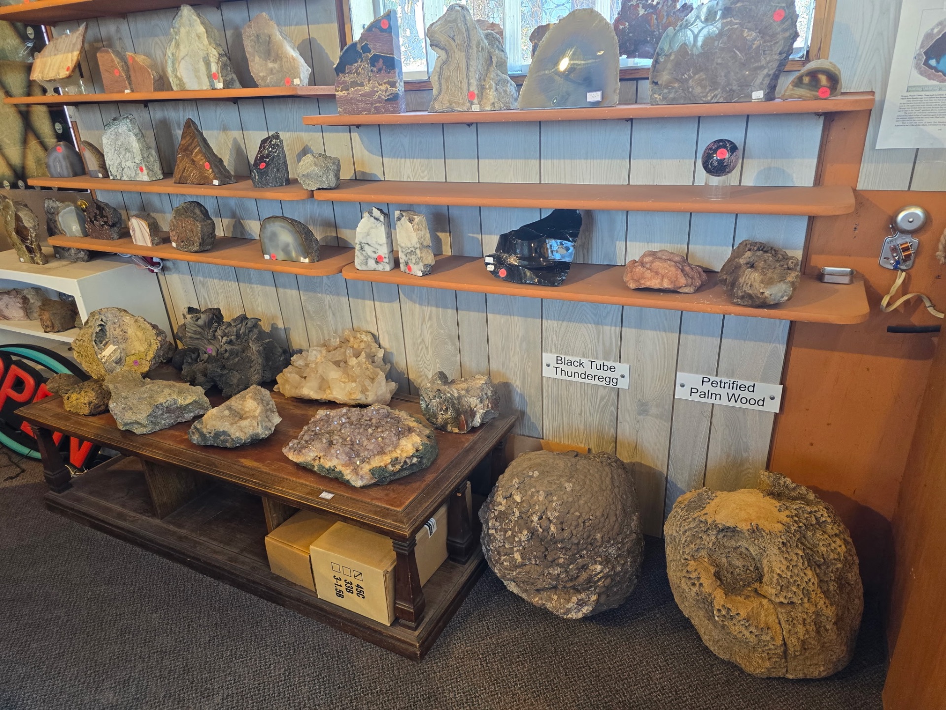 Black tube thundereggs and petrified palm wood shelves